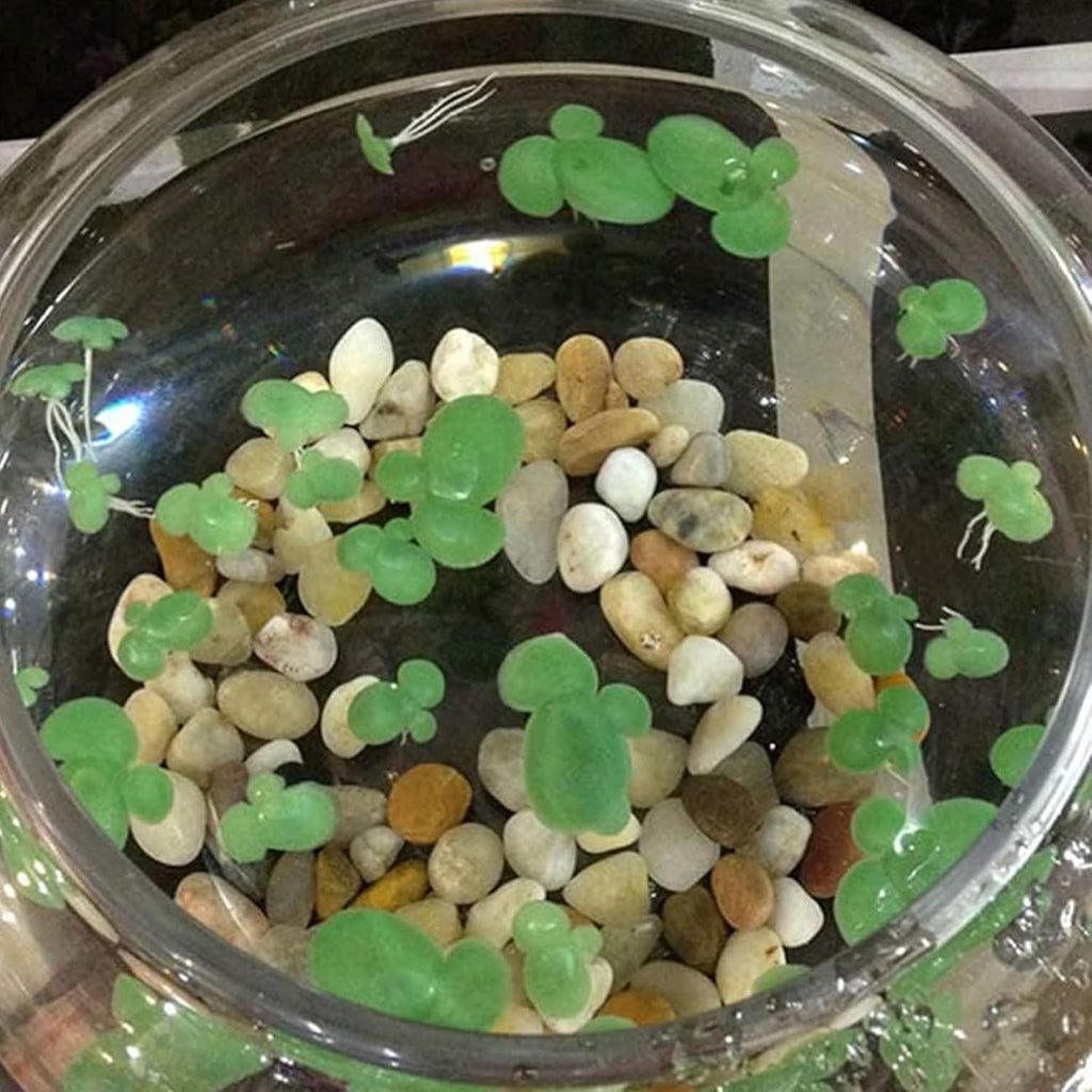 72Pcs Duckweed, Plastic Fake Pond Plants with Leaves & Roots, Floating Aquarium Plants for Indoor, Outdoor Fake Weed Pond Floating Aquarium