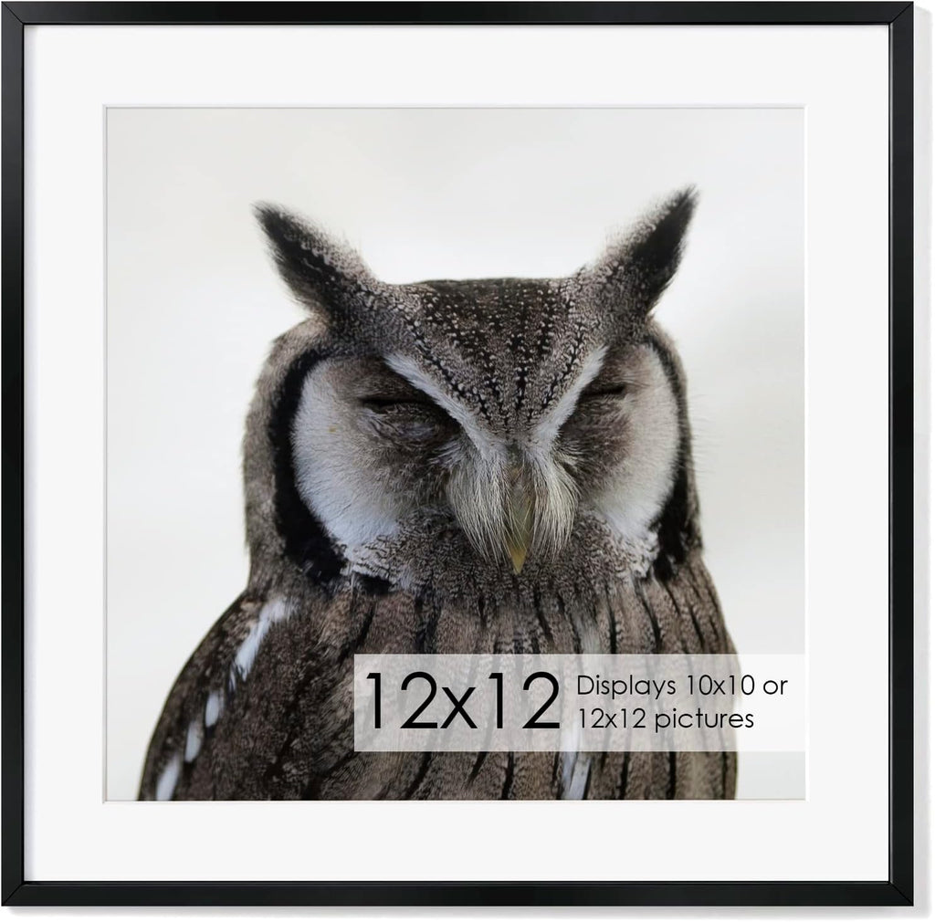 12x12 Metal Picture Frame with 10x10 Mat, Brushed Aluminum Finish, Attached Hanging Hardware, and Tempered Glass Front - Versatile Vertical or Horizontal Wall Display Frames Set of 1 - Black