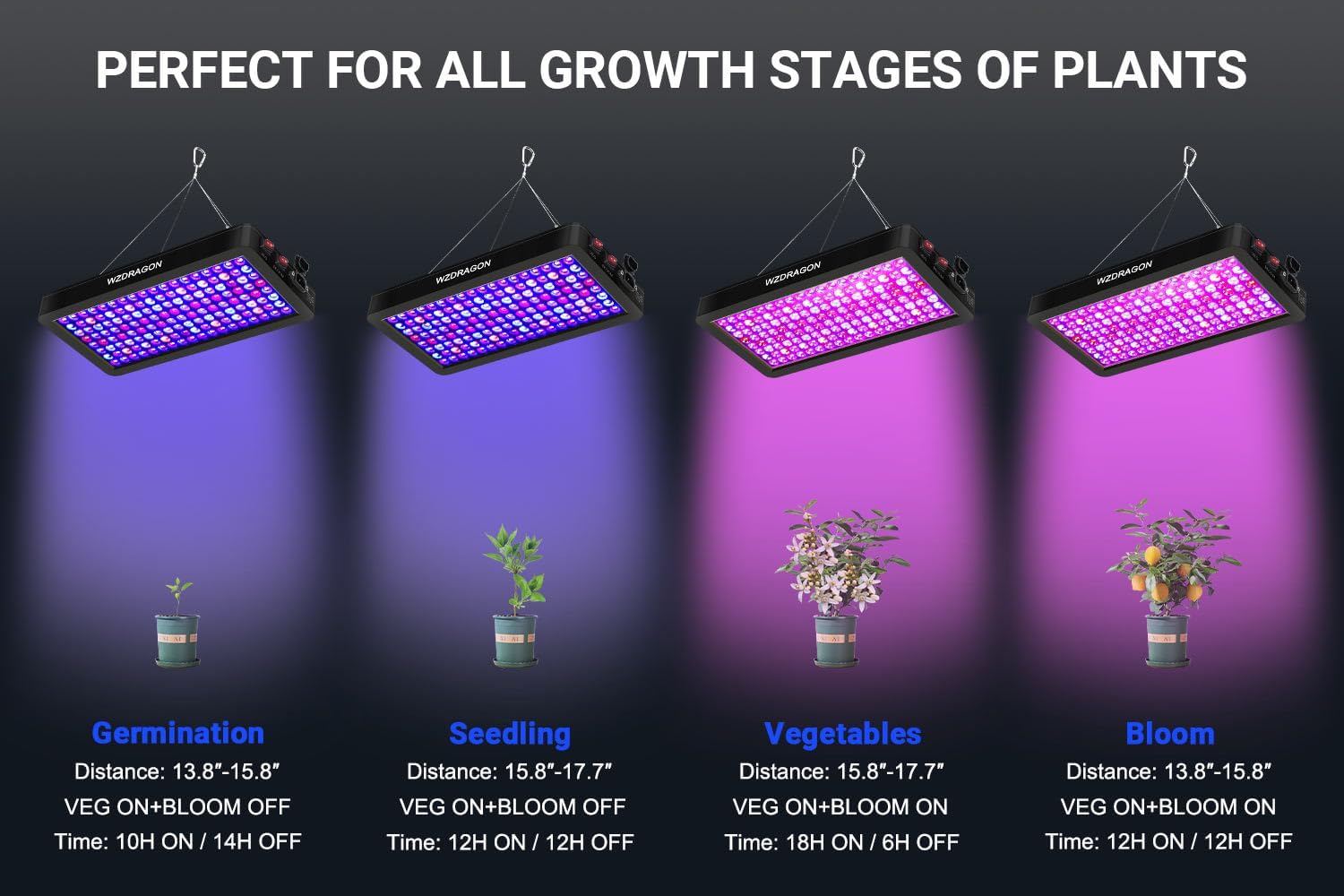 2024 Upgraded BW2000 LED Grow Lights Double Chips Full Spectrum with 10ft Cable for Greenhouse and Indoor Plant Veg and Flower Growing [Black]