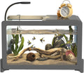 2.6 Gallon Plastic Fish Tank Ultra-Clear Shatterproof Desktop Small Aquarium Filters and Lights Can Be Installed for Betta/Goldfish/Shrimp and Aquatic Planting Fish Bowl (Gray)
