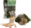The Habitat Life - Natural Variety Pack - Mix of Reindeer, Mood, Sheet & Spanish Moss - for All Terrariums - Humidity Control - Breathable Bedding - Dye-Free & Safe - Small - 1 Pack