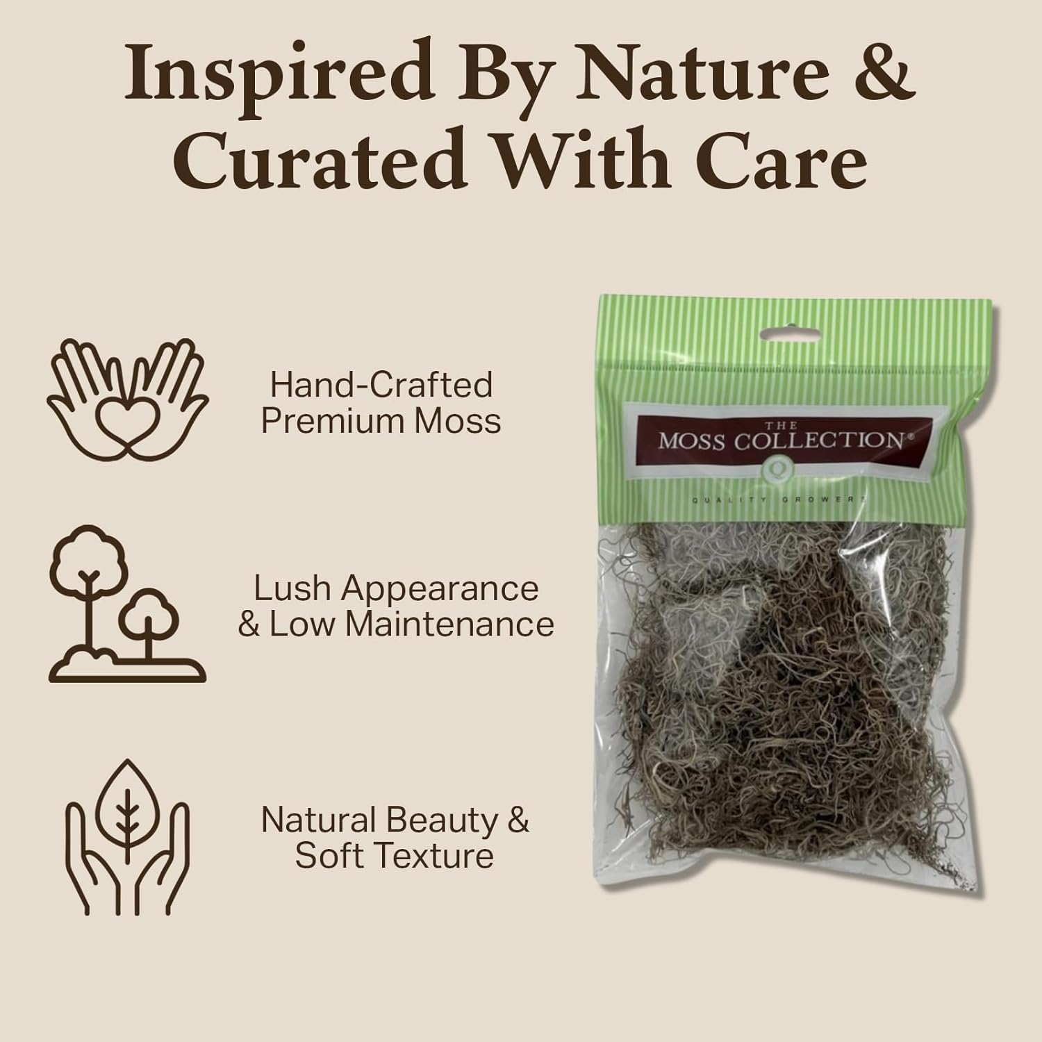 Preserved Spanish Moss - Premium Decorative Moss for Crafts, Home Décor, Art, Design & DIY Projects - Real Moss - Non-Toxic, USA-Made (Natural, Medium, 2-Pack)