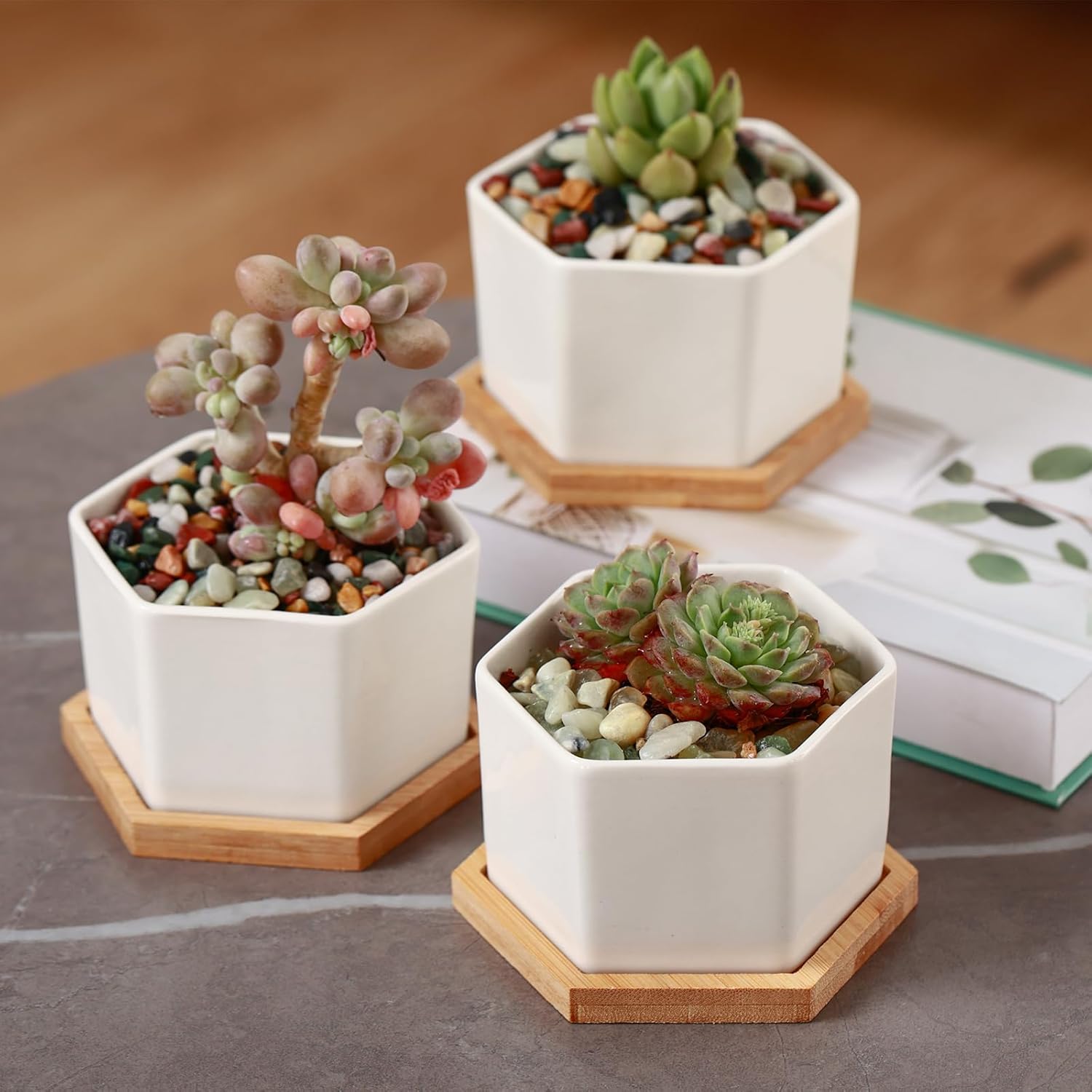 18 Pounds Coarse Silica Sand Succulent and Cactus Bonsai Stones Soil Cover Gravel for Indoor Outdoor Plants Natural Decorative Rocks for Fairy Gardening, Vase Fillers, Aquariums, Carnivorous Plant Mix