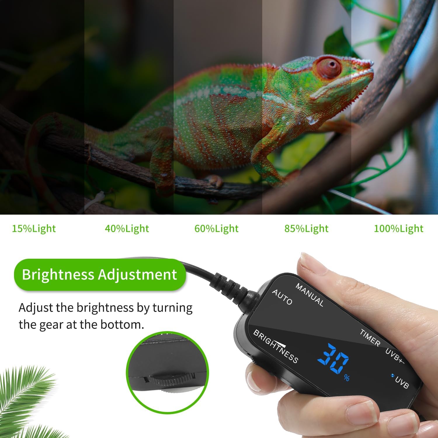 LED UVB Reptile Light – Dual UVA/UVB Lamp with Dimmer, 2 UV Modes, Timer & Fan Cooling, 10W for Turtles, Lizards, Snakes, Glass or Mesh Terrariums (6500K)