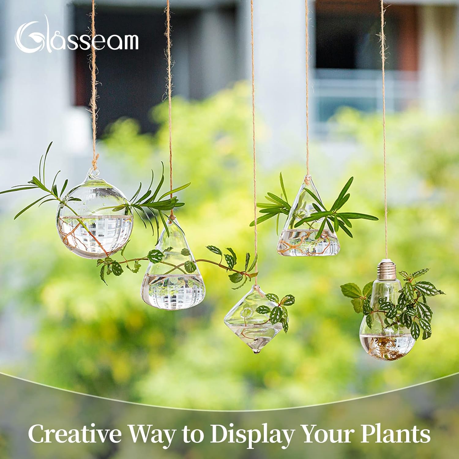 Glasseam Hanging Planters Glass Terrarium: 5Pcs Modern Plant Propagation Stations Hydroponic Wall Vases for Air Plants Flowers Indoor Window Home Decor