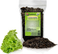 Gardenera Premium Potting Soil Blend for Lettuce Iceberg - The Ultimate Mix for Healthy, Vibrant, and Crisp Lettuce - 5 Quart
