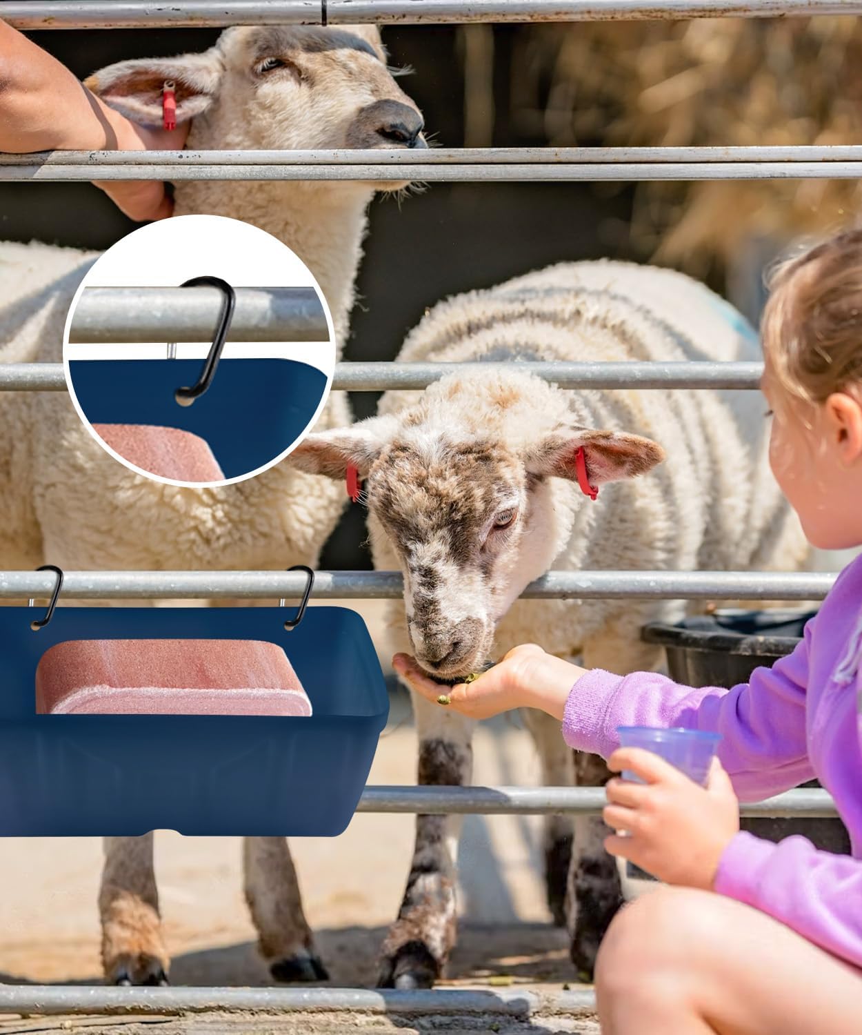 Chicken Feeders, 3 Pack, Duck Feeders and Waterers, Hanging Poultry Water Feeder, Livestock Fence Feeder, Feed Trough and Waterer Bucket with Clips, Blue