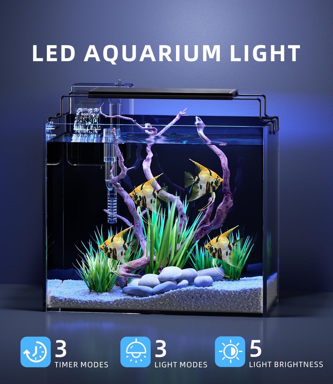 3 Gallon Fish Tank Aquarium Kit with Filter, LED Light with Timer, Siphon Vacuum Cleaner, Lid, Self-Cleaning Glass Rimless Betta Tank
