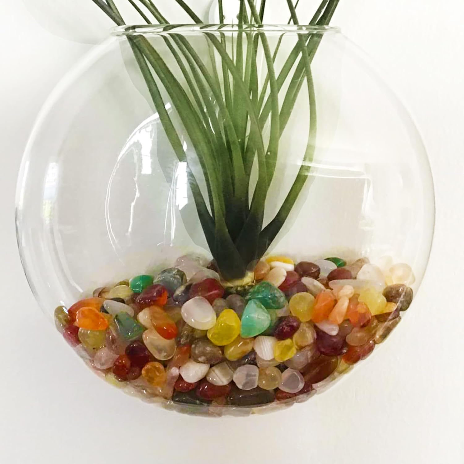 2Lb Pebbles for Indoor Plants, Vase, Succulent, Bamboo, 1/3" Plant Rocks for Pots Indoor, Small Decorative Colorful Agate Stone for Home Decor, Highly Polished