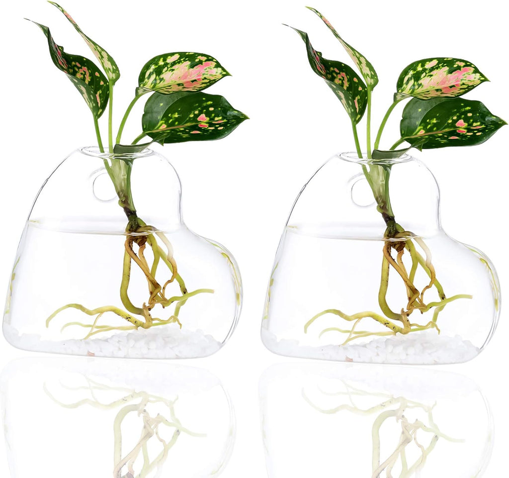 Kingbuy Wall Hanging Glass Planter Terrarium Plant Propagation Station Heart Shape Vase for Planting Hydroponic Water Plants Home Office Garden Decor Gift, 2 Pack
