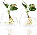 Kingbuy Wall Hanging Glass Planter Terrarium Plant Propagation Station Heart Shape Vase for Planting Hydroponic Water Plants Home Office Garden Decor Gift, 2 Pack