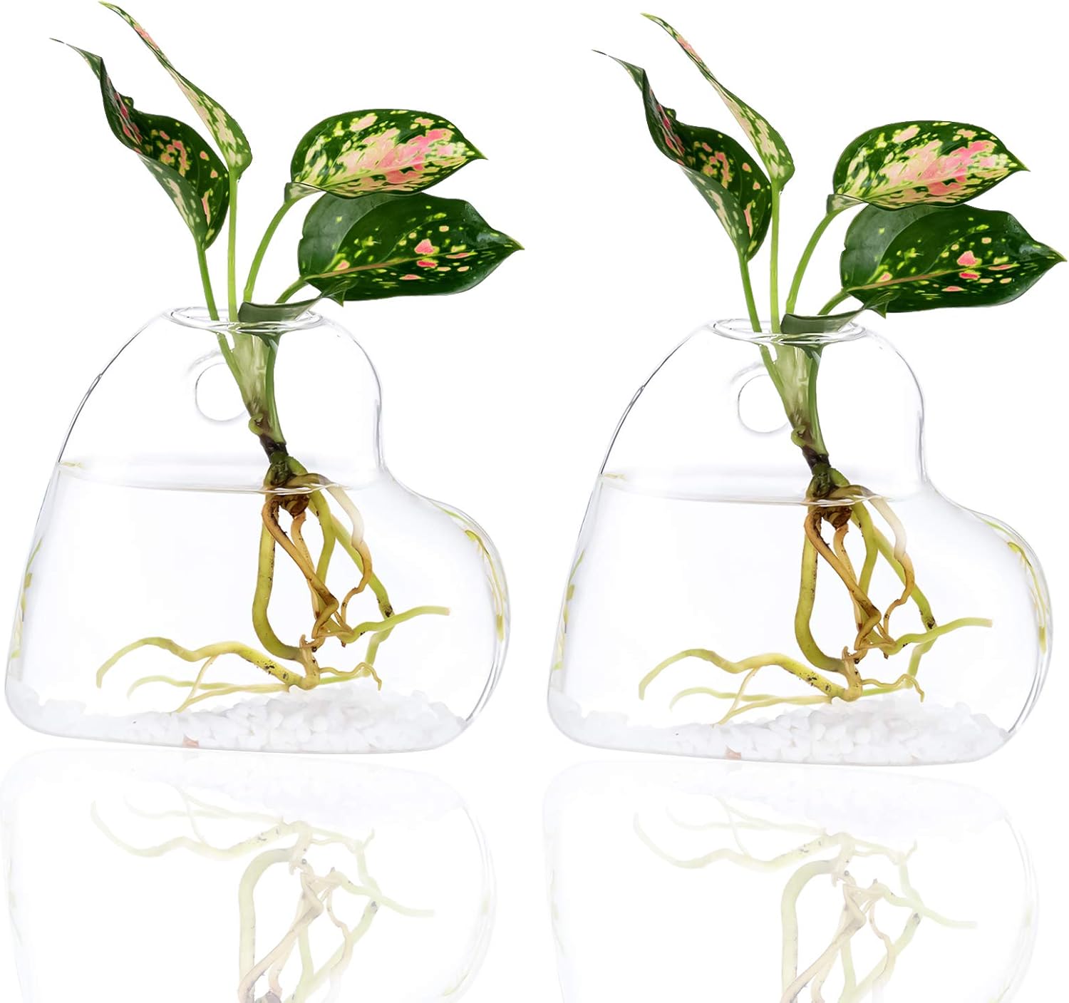 Kingbuy Wall Hanging Glass Planter Terrarium Plant Propagation Station Heart Shape Vase for Planting Hydroponic Water Plants Home Office Garden Decor Gift, 2 Pack