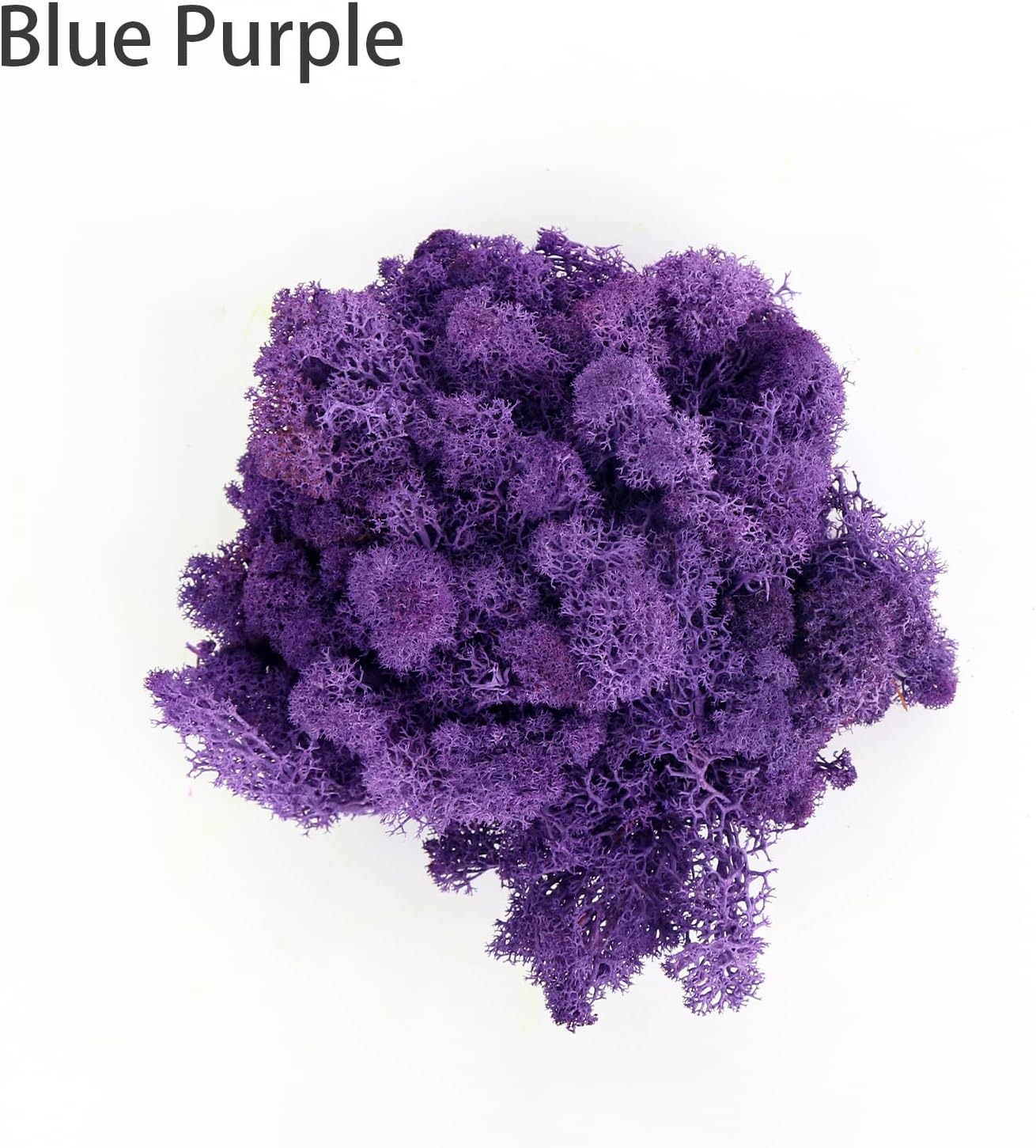 Amoueterno Preserved 4 Color Reindeer Moss,Total 14OZ Each Color 3.5OZ, Natural Real Moss, DIY Kit Crafts Art Wall Decor Florist Decor,Purple