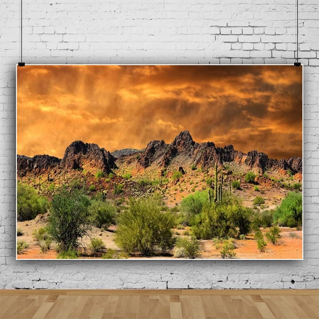 Laeacco Dusk Desolate Desert 10x6.5ft Vinyl Photography Background Sunset Glow Cactuses Weathered Mountains Scenic Backdrop Wedding Shoot Indoor Decors Wallpaper Studio Props color15