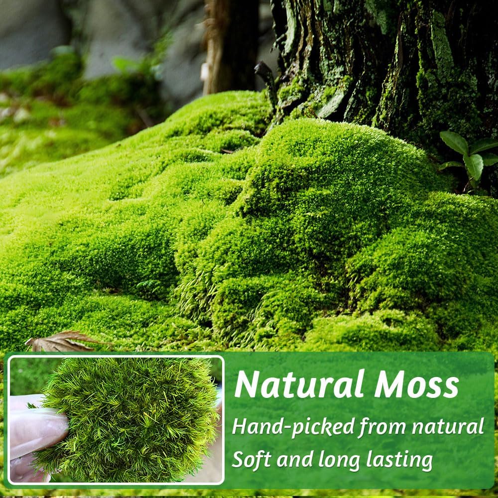 TCYPUHL Preserved Pillow Moss Bulk (2.4 Sq.Ft Yellow Green) - Natural Cushion Moss for Wall Art, Home Decor - Christmas Crafts, Holiday Decorations and Gift Giving DIY Craft, Floral Arrangements