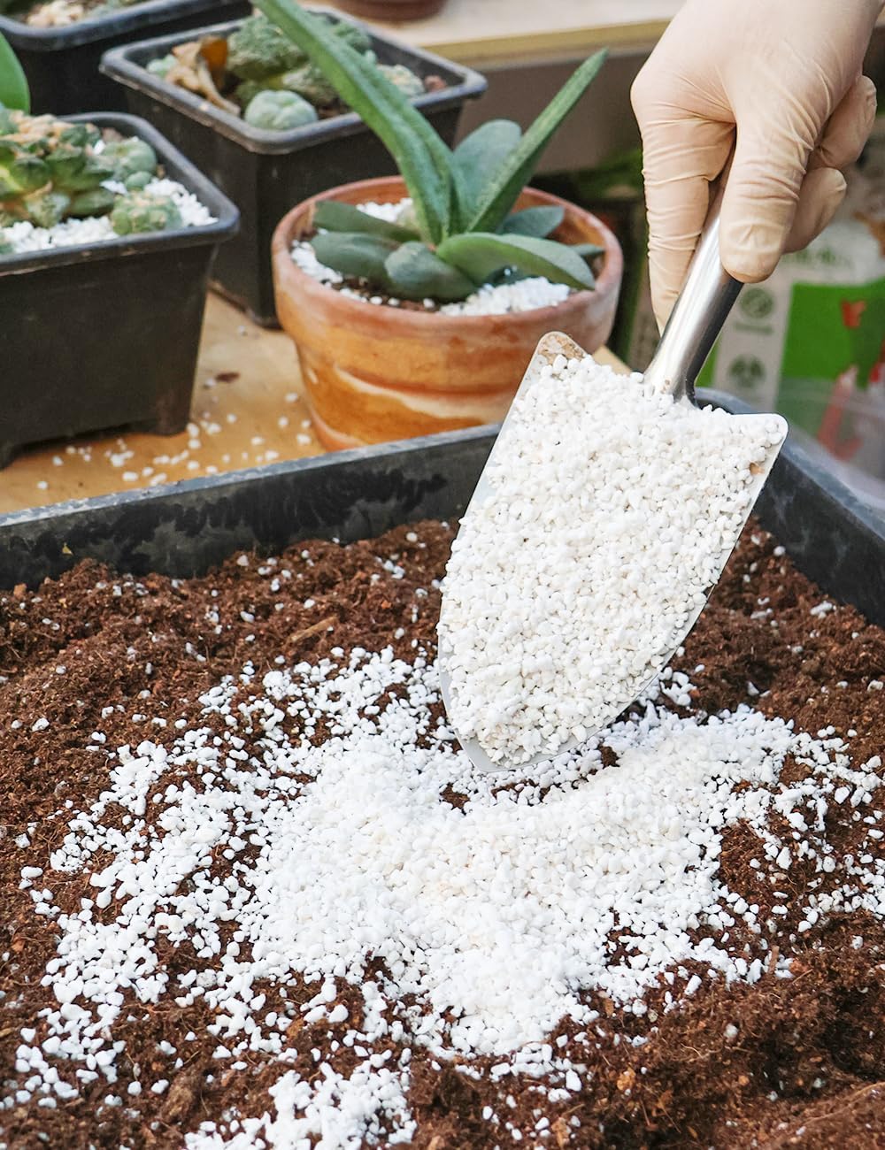 TOYPOPOR Perlite for Plants, (3qt) 3-6mm Organic Perlite for Gardening, Perlite for Plants Indoor, Soil Additive Conditioner Mix Improve Drainage and Ventilation Promote Root Growth and Soil Health