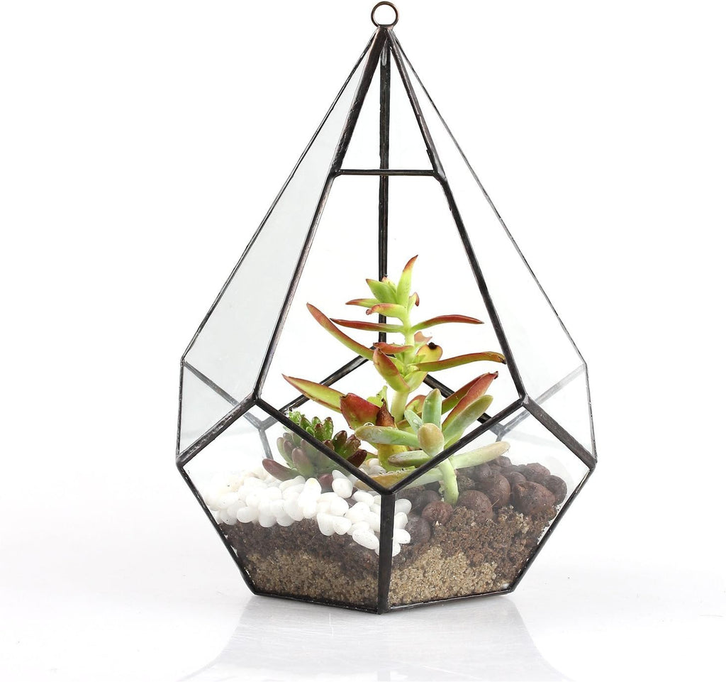 NCYP Hanging Glass Geometric Terrarium for Succulent - 6.8" x 6.8" x 8.6" Indoor Teardrop Shape Plants Planter, Tabletop Decorative Centerpiece, Black Container, Opening, Handmade (No Plants)
