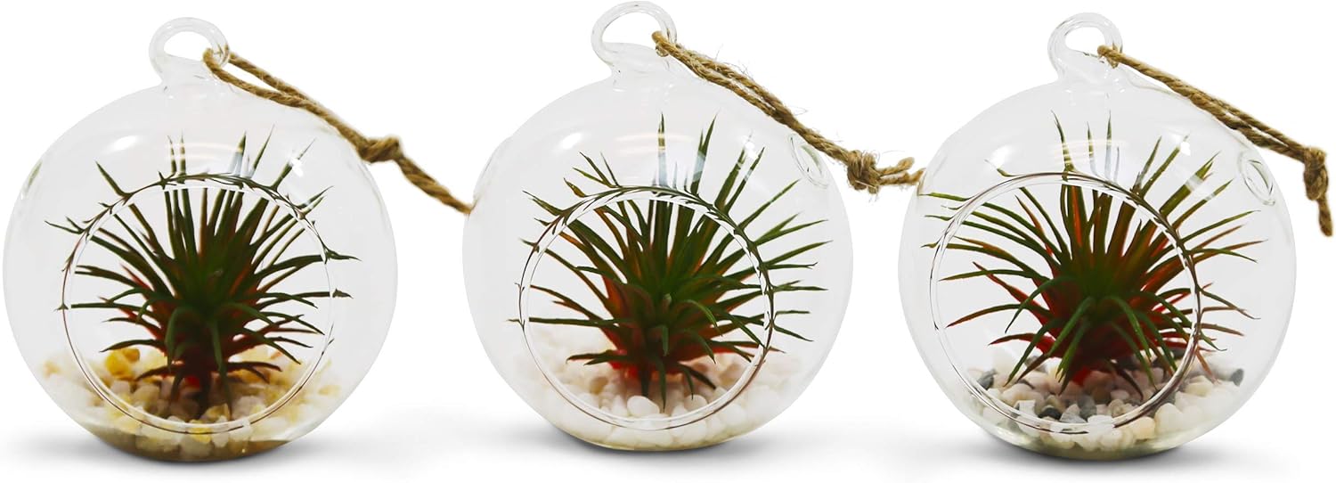 WGV Hanging Terrarium Globe, Width 2.5", Height 3", DIY Air Succulent Planter, Clear Glass Vase Orb with Flat Bottom, Candle Holder for Windowsill Outdoor Garden Decor, 6 Pieces Bulk