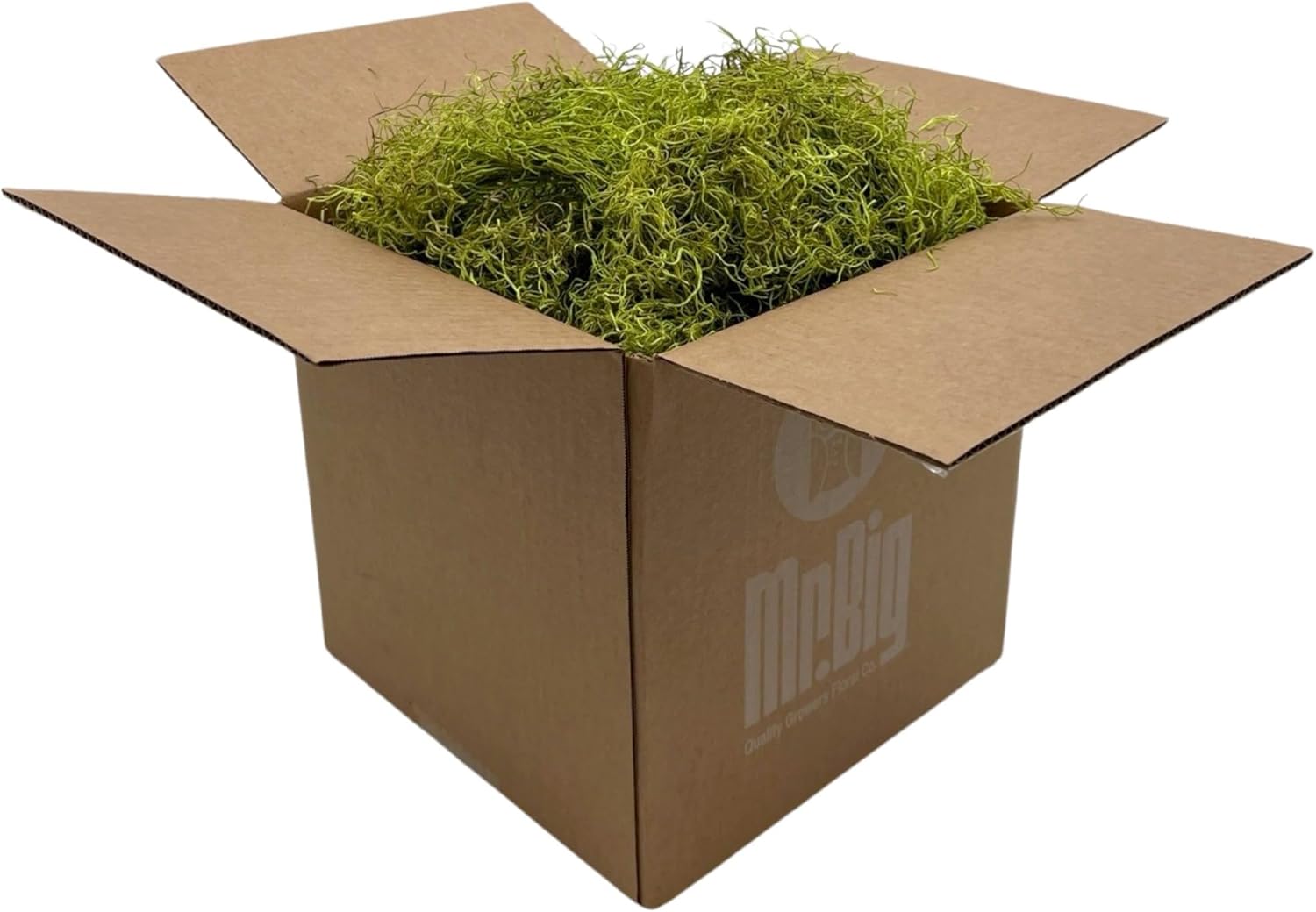 Preserved Spanish Moss - Decorative Dried Moss for Crafts, Home Decor, Art, Design & DIY Projects - for Indoor Use - Chartreuse - Standard Box - Covers 10-12 sq. ft.