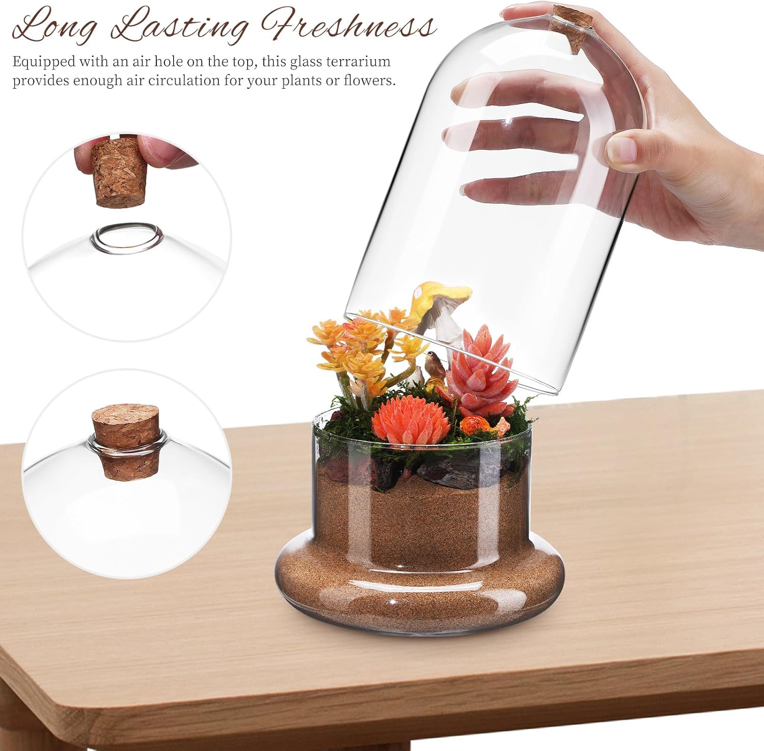 Baluue Glass Terrarium Clear Dome with Air Hole, 8.26 X 5.51 Inches, Plant Terrarium for Home and Office Decor, Transparent Glass Cloche for Moss and Fern