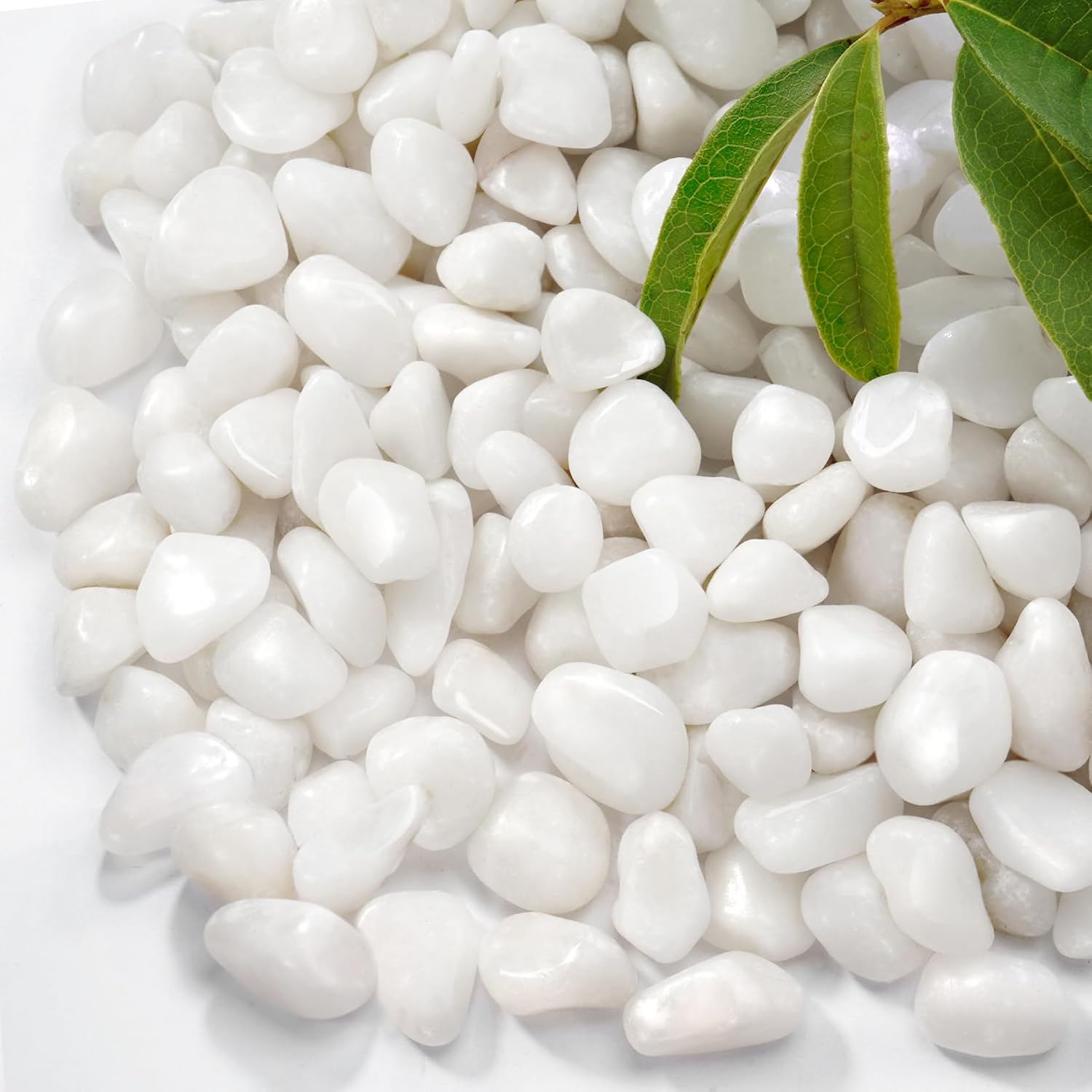 5 lb Natural Polished White Pebbles, 1/2 Inch Decorative White Rocks for Potted Plants Pot Filling Aquariums Outdoor Street Scape Decorative Rocks
