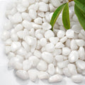 2.2 lb Natural Polished White Pebbles, 1/2 Inch Decorative White Rocks for Potted Plants Pot Filling Aquariums Outdoor Street Scape Decorative Rocks