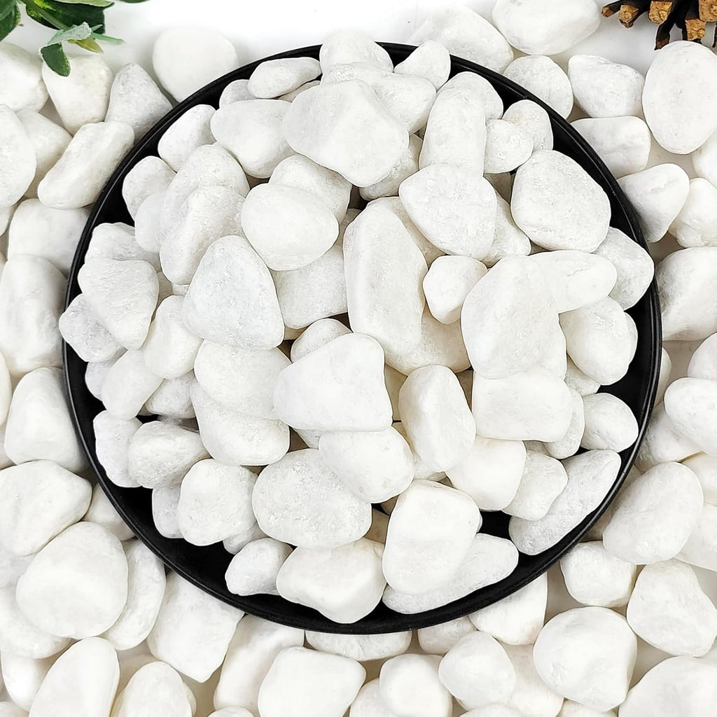 5lb White River Rocks, 5/8 Inch Natural Pebbles for Indoor Plants, Snow White Decorative Stones, Ideal for Fish Tank, Vases, Crafting, Home Decor and Garden Landscaping Rocks