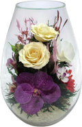 Fiora Flower | Preserved Roses & Floral Arrangement in Sealed Glass Vase | Lasts up to 5 Years | Elegant Gift for Weddings, Birthdays, and Anniversaries (Lush)