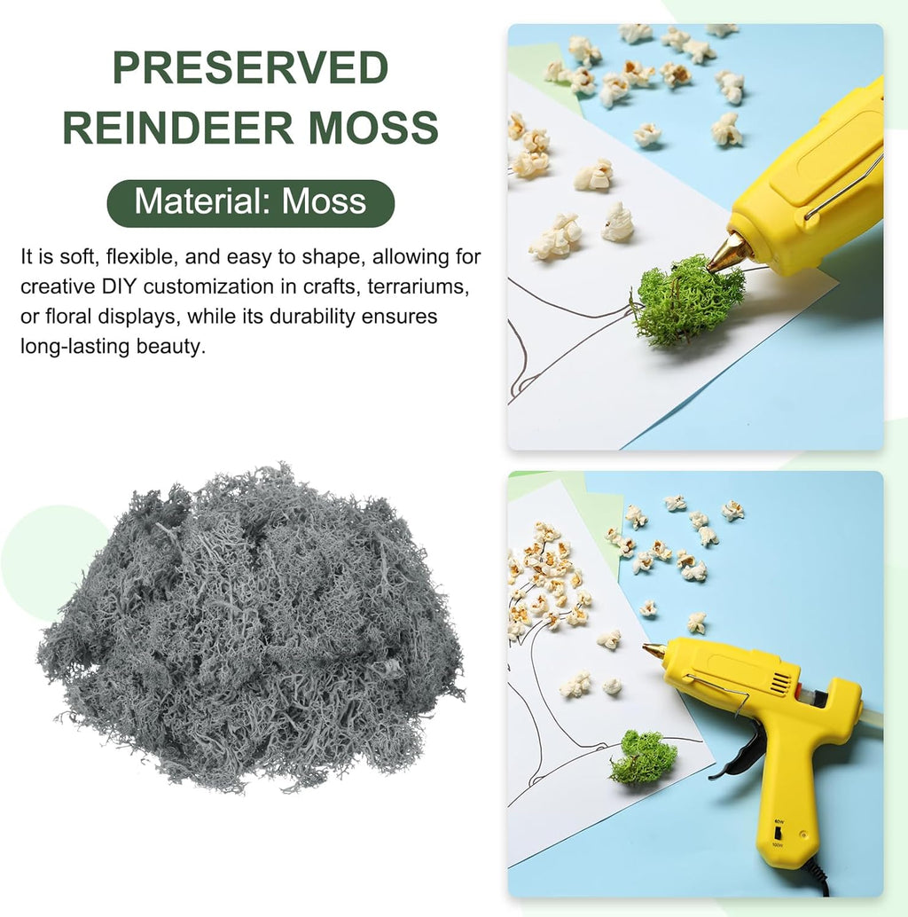 MECCANIXITY 3oz Preserved Reindeer Moss, Grey Decorative Artificial Fake Moss for Potted Plants Indoor Crafts Lichen Centerpieces Decor
