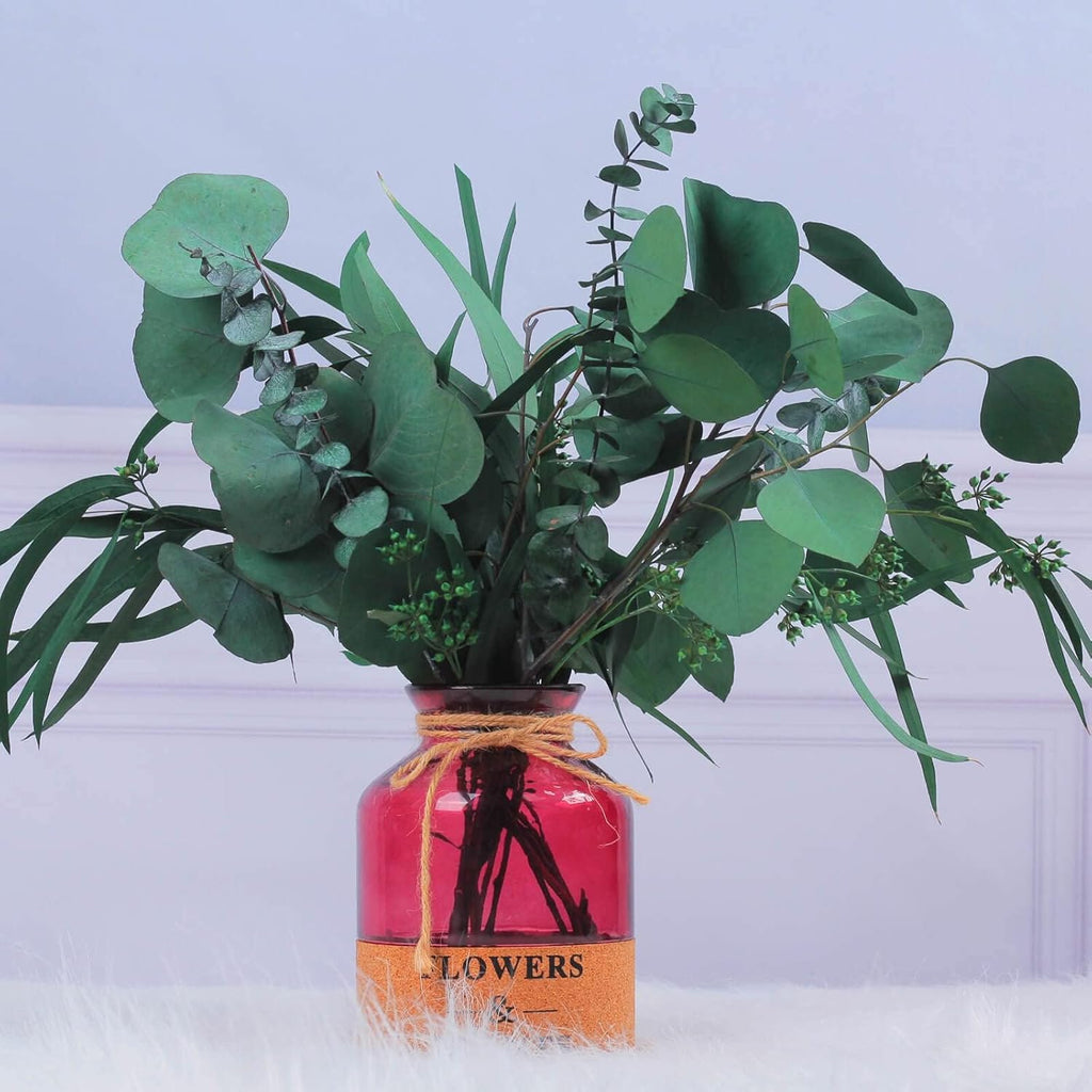 12Pcs Mixed Real Dried Eucalyptus Leaves Stems - Preserved Plant Branches, Silver Dollar Eucalyptus, Seeded Eucalyptus Bouquets for Vase Floral Arrangements Wedding Greenery Decor