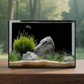 2.6 Gallon Glass Fish Tank Cube, Small Aquarium Fish Bowl for Betta Goldfish Snails Shrimp Aquatic Planting, Easy to Maintain Ultra Clear Rimless Design for Desktop Small Spaces