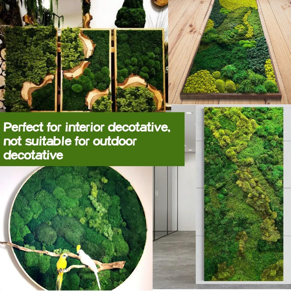 Preserved Reindeer Craft Moss - 17.6oz Natural Green DIY Kit for Terrariums, Wall Art & Decor