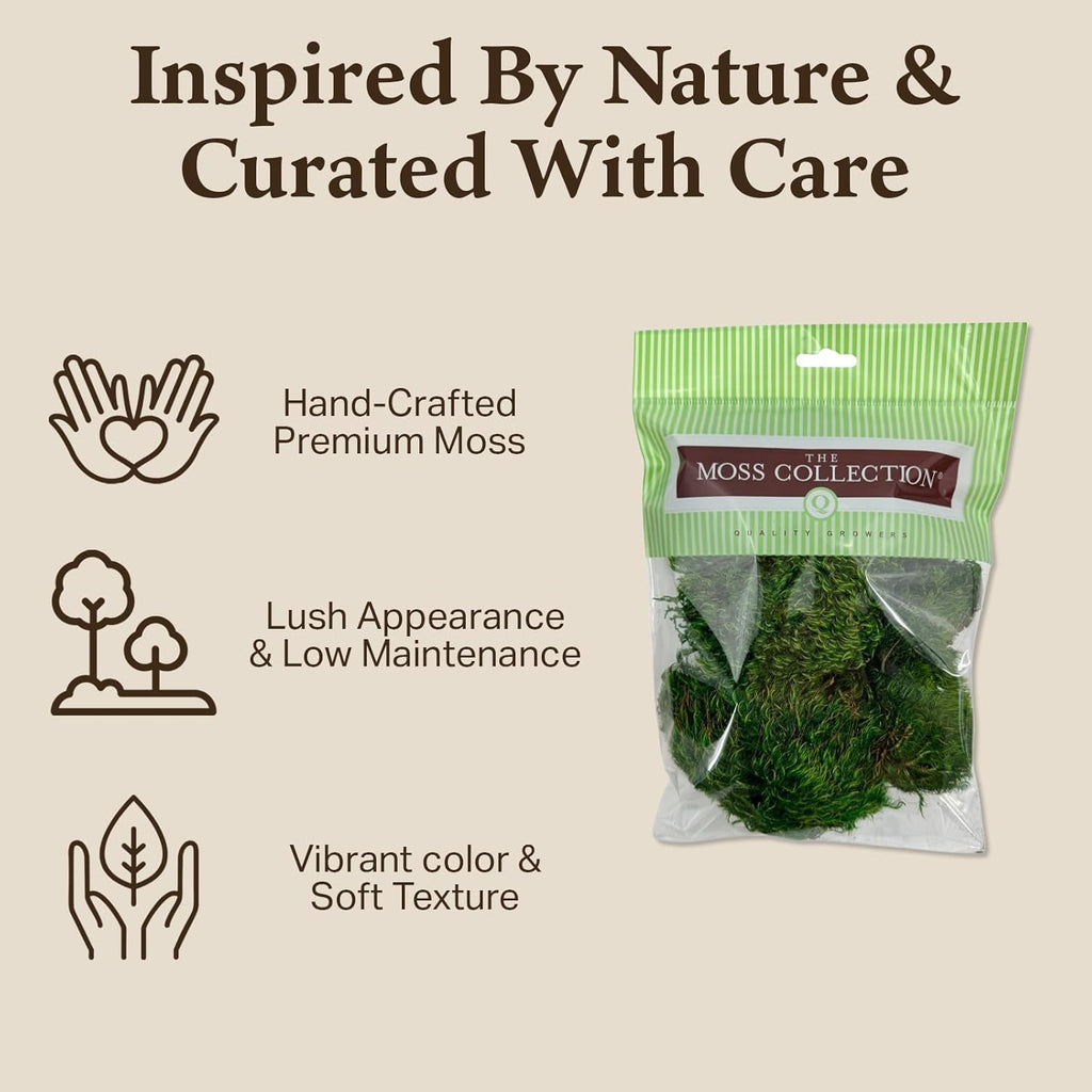 Preserved Mood Moss - Premium Decorative Moss for Crafts, Home Décor, Art, Design & DIY Projects - Real Moss- Non-Toxic - USA-Made- Natural Green, Medium 2-Pack
