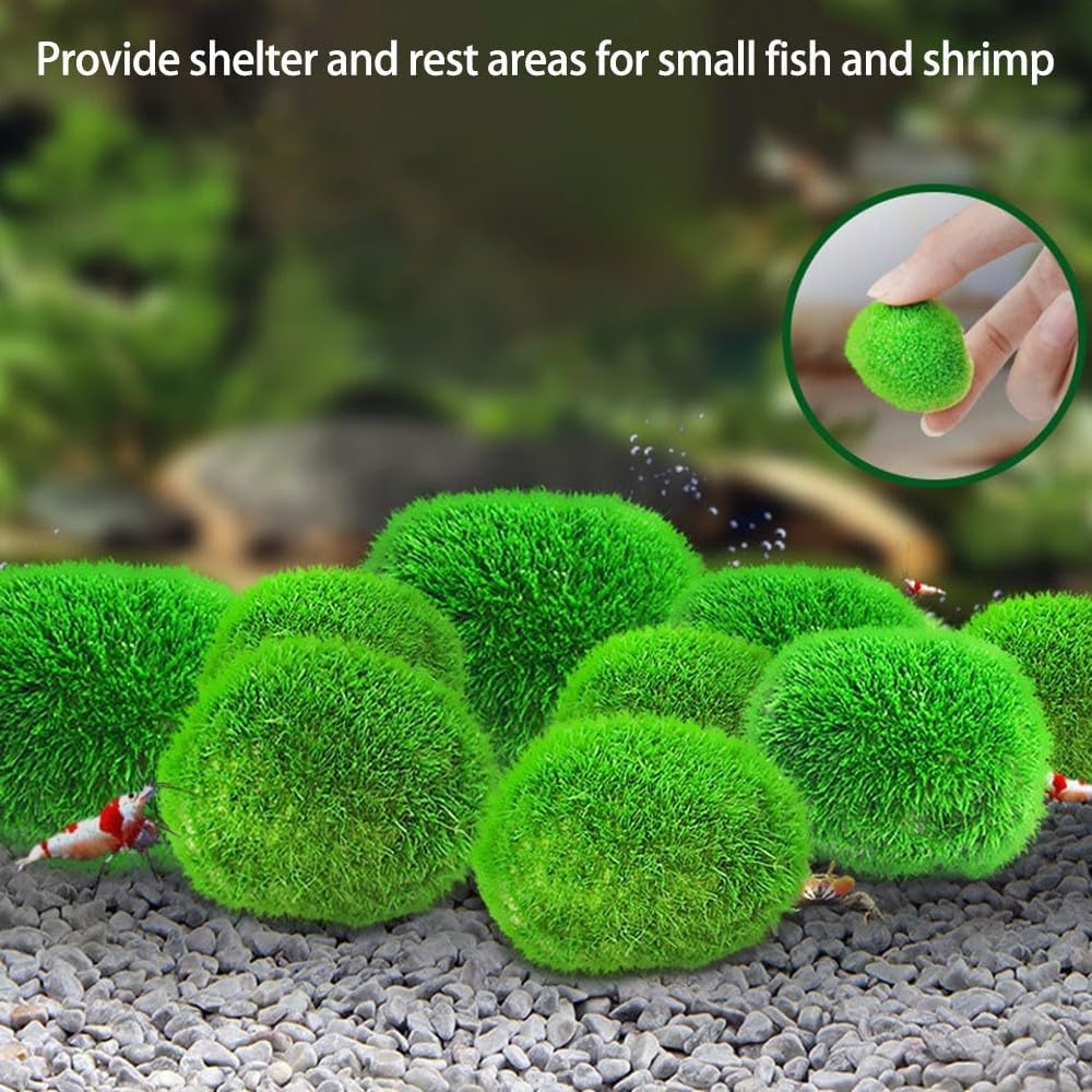 MiOYOOW 4PCS Decorative Moss Balls, Artificial Moss Decorations, Creative Aquatic Plant Ornaments for Fish Tank Aquarium Garden Home Bowl Vase Party Wedding Christmas Decor