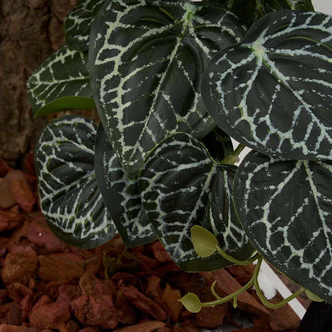 2Pack Reptile Fake Plants for Terrarium, Snake Tank Accessories, Habitat Decor Artificial Hanging Plants with Suction Cup - Fake Anthurium Crystallinum