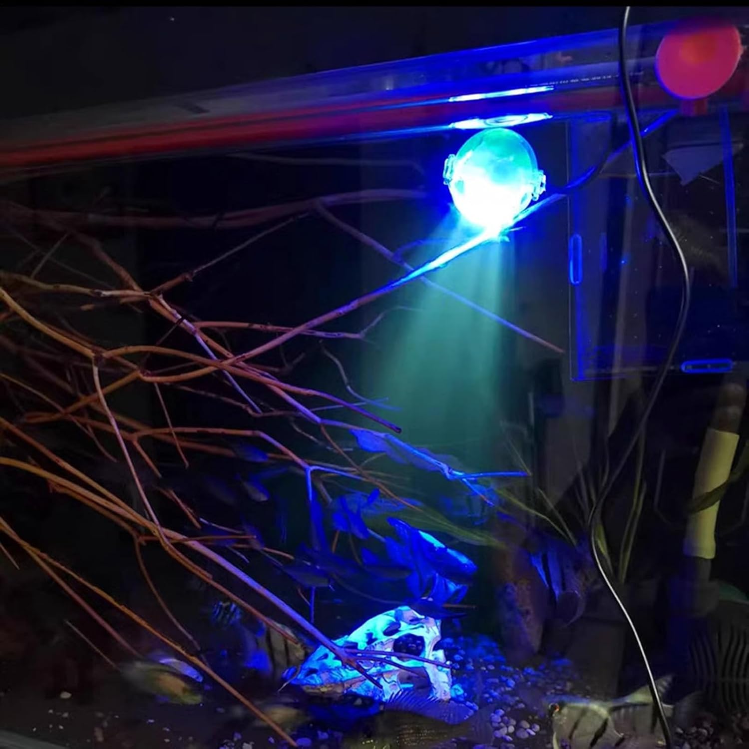 Submersible Aquarium Light - 6-Color LED Water Lamp, Submersible Aquarium Light for, Bright Vibrant Illumination, Easy to Use Plug-and-Play Design, Pool Lighting Tool, Decorative Accessory