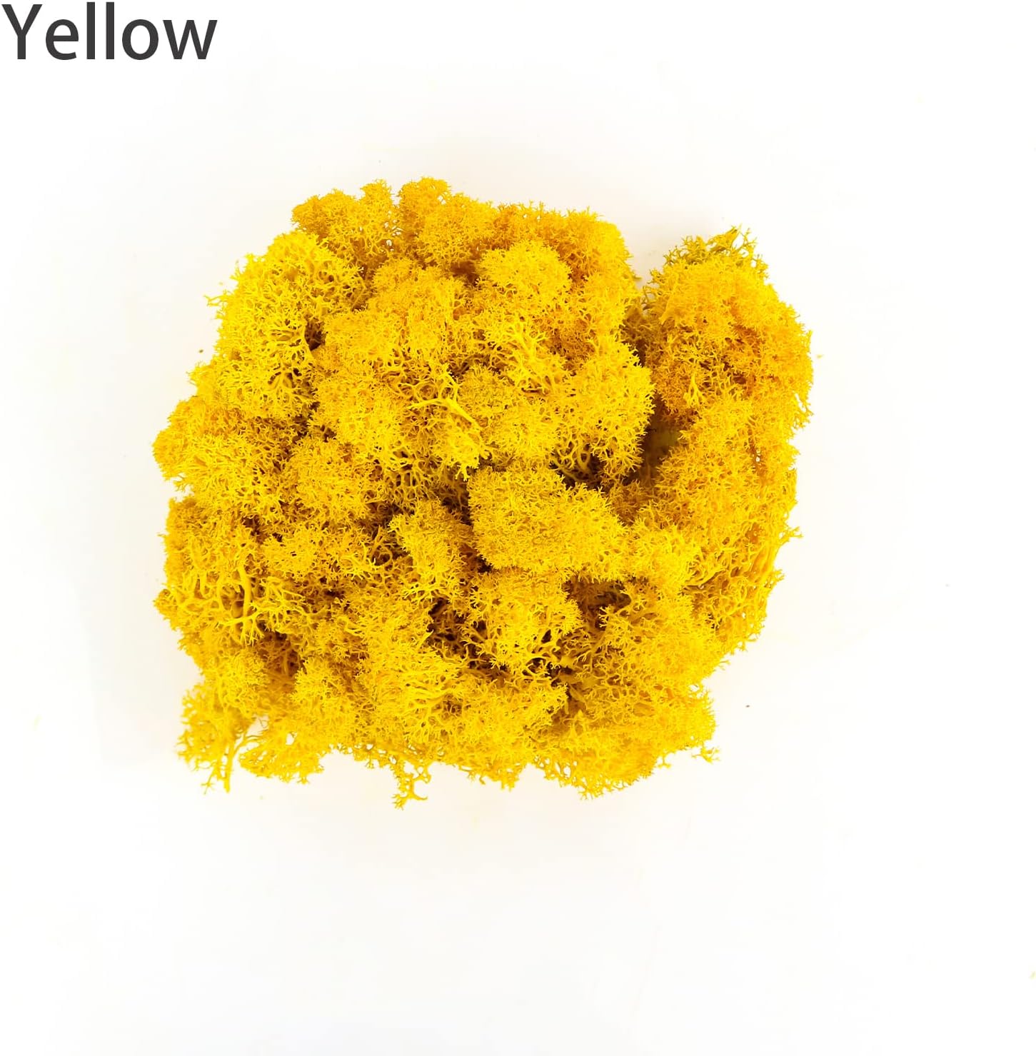 Amoueterno Preserved Moss 4 Color Reindeer Moss,Total 14OZ Each Color 3.5OZ, Natural Real Green Moss DIY Kit Moss Crafts Art Wall Decor Florist Decor Yellow/Light Yellow/Brown/Orange Brown