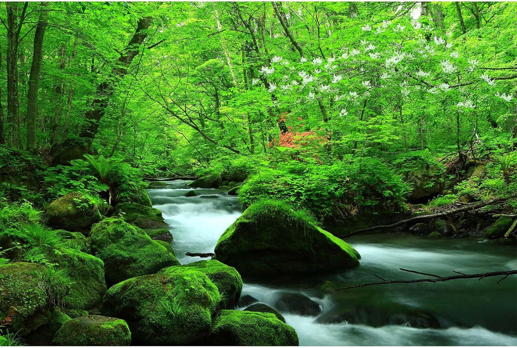 Stream Aquarium Background Jungle Plants Rainforest Fish Tank Background Lush Green Trees Rocks with Moss Terrarium Background Flowing Water Natural Landscape Aquarium Backdrops Vinyl 48x20in