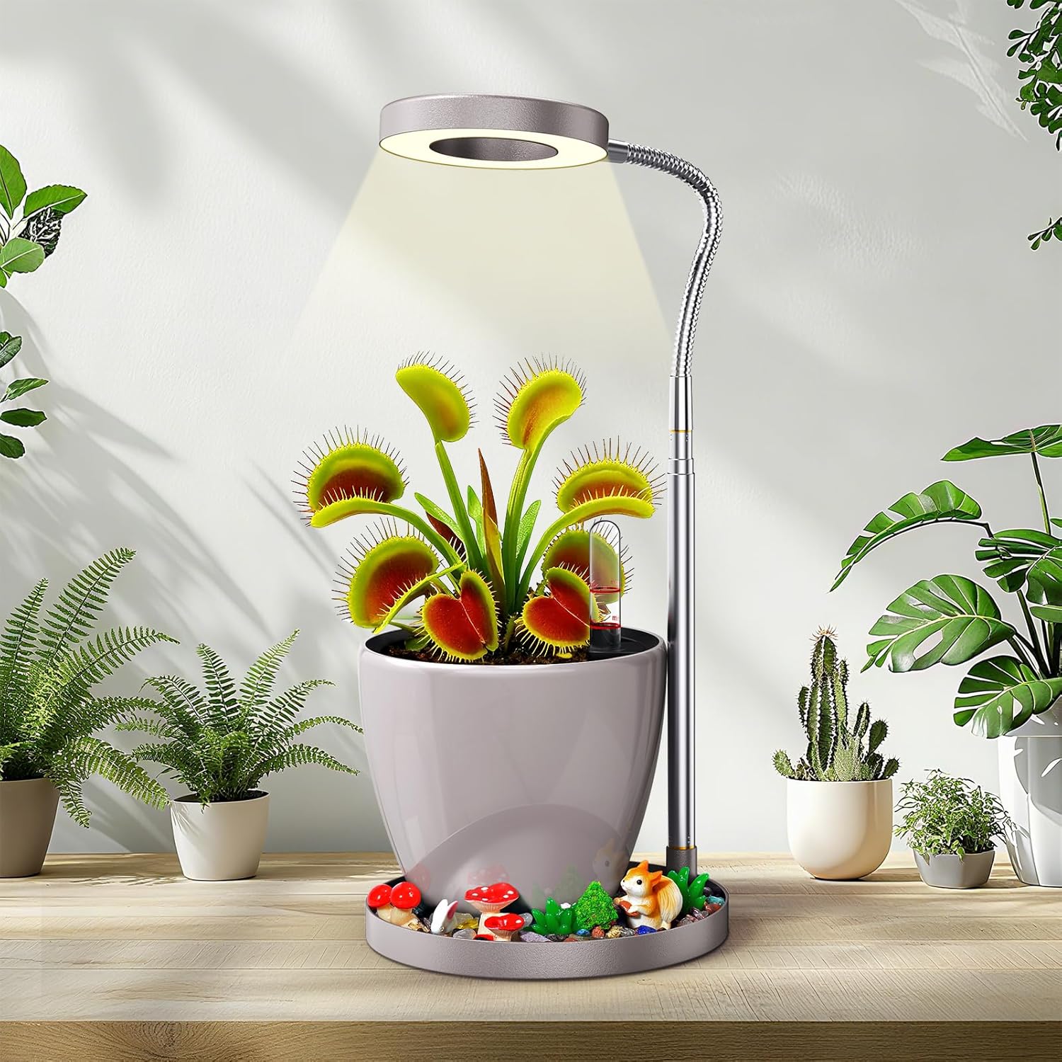 Venus Fly Trap Terrarium,Butterwort Plant Live Pot,Not Live Plant, Automatic Irrigation System Keeps Potted Soil Moist Makes a Great Gift Choice, Home Office Decor