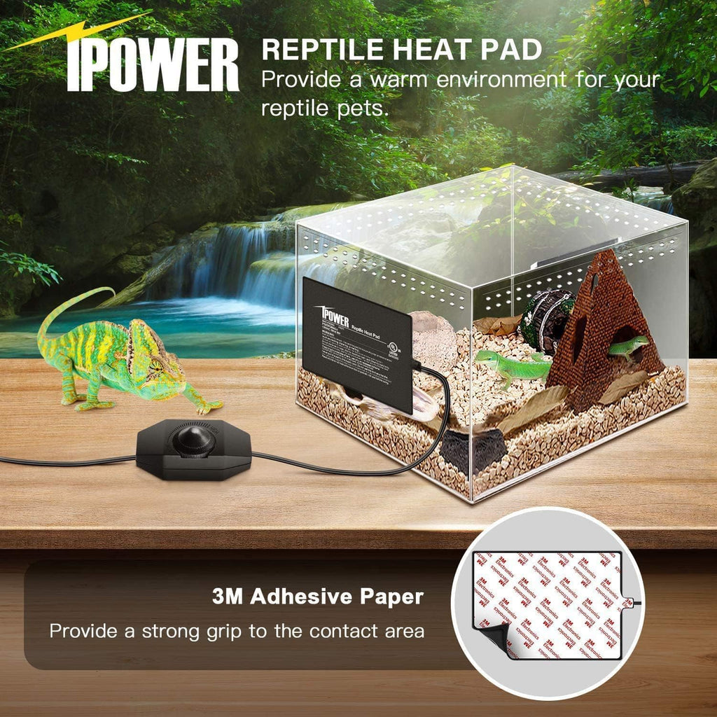 iPower 6 by 8 Inch Reptile Heating Pad with Temperature Adjustable Controller Knob, Under Tank Warmer Terrarium Heat Mat for Reptiles and Amphibians