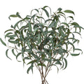 Faux Eucalyptus Stems - 34' Long Fake Salix Leaves 6 Pcs Artificial Greenery Stems for DIY Bouquet Arrangements, Centerpieces, Shower Decorations