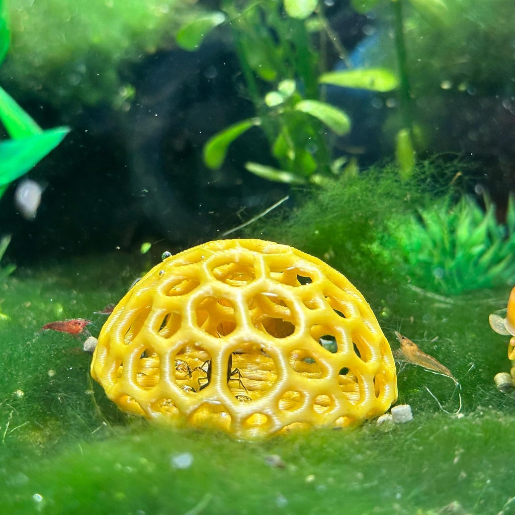 Shrimp Dome Hide - Aquarium Cherry Shrimp Hide - CTWPets Cherry Shimpe Hide (Honey Gold)