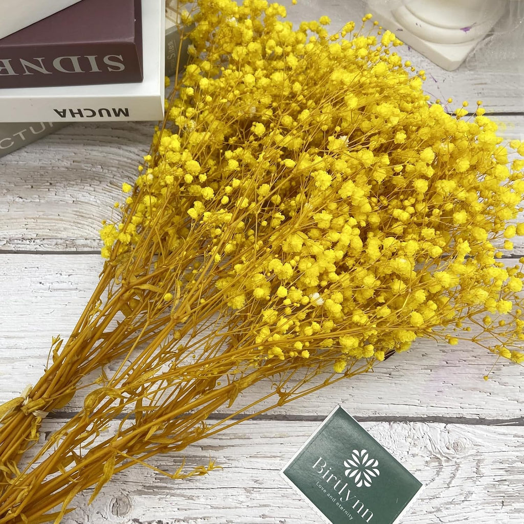 Preserved Baby's Breath, 100% Natrual Gypsophila Long Lasting Flowers for Vase Arrangements Home Decoration Photo Props Parties and Weddings, DIY Décor-Yellow