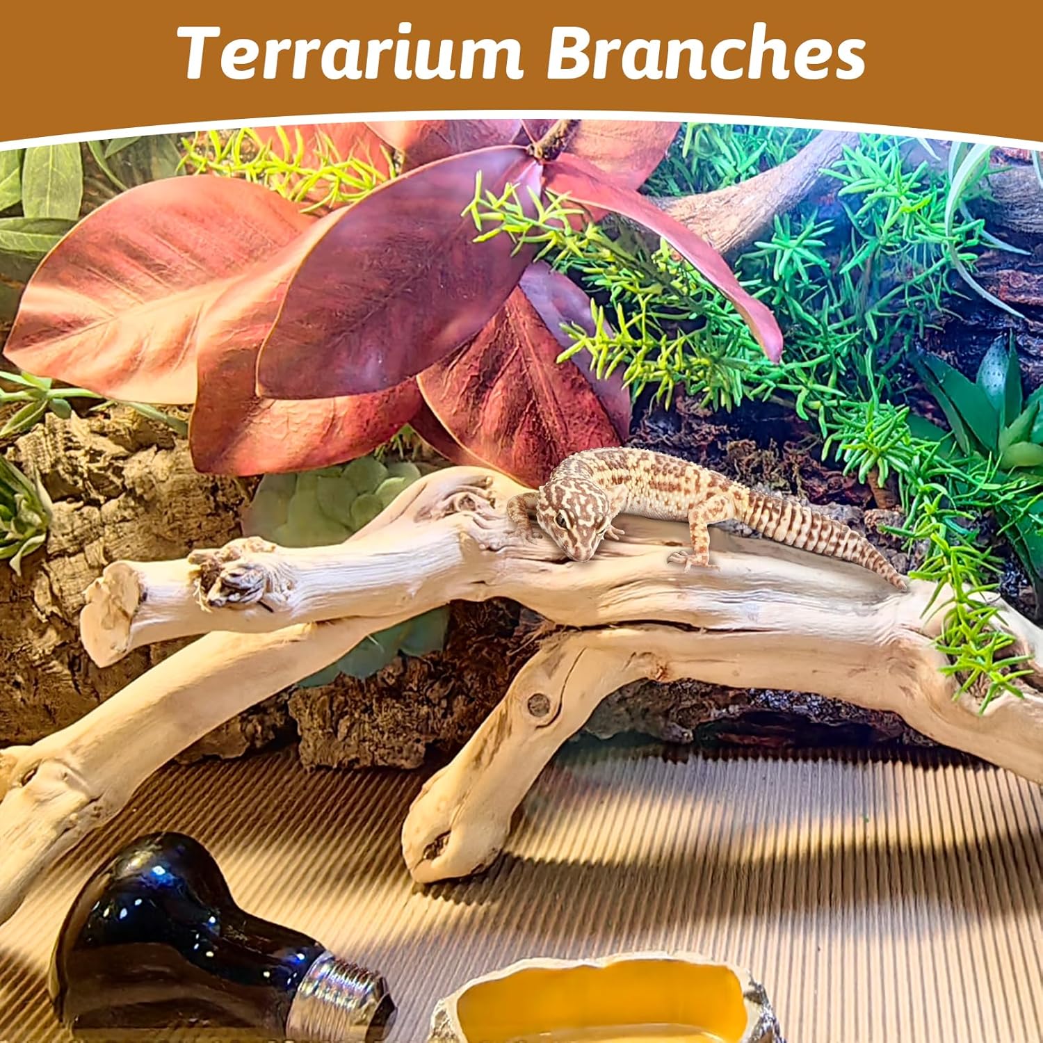 Reptile Branches for Climbing Natural Snake Climb Branch Extra Large Wood Forest Tree Trunk Decor Lizard Habitat Terrarium Decorations for Bearded Dragon Geckos Chameleon Frog