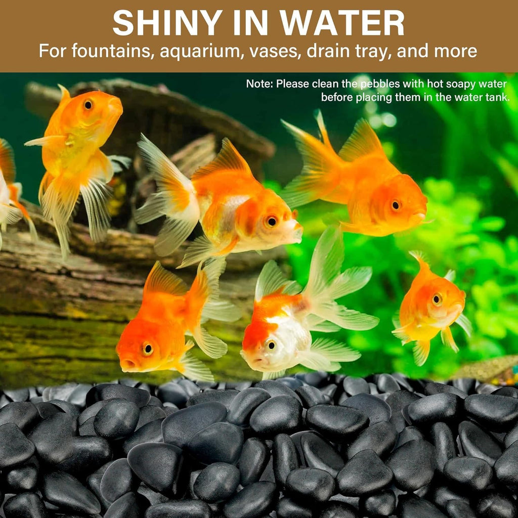 3lb Black River Rocks for Plants Indoor, 1-2Inch Pebbles for Vases Fillers, Decorative Gravel for Fish Tank, Natural Polished Stones for Succulent, Bonsai, Landscaping, Bird Baths