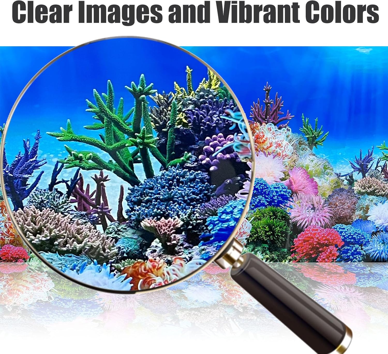 Fish Backgrounds Paper Double Sides Undersea Aquarium Background Poster Colorful Sea Anemone Fish Tank Background Sticker Decorations 16"x 33"