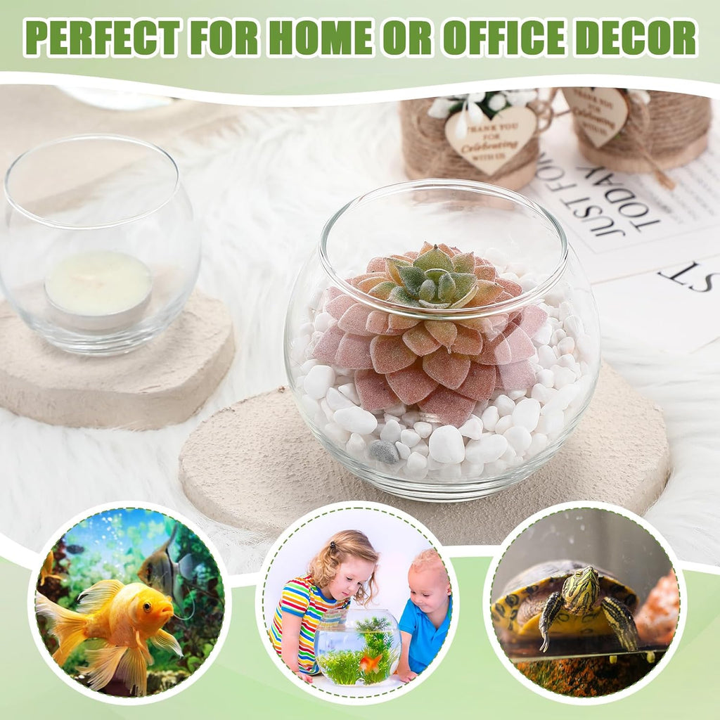 Zopeal 24 Pcs Fish Bowl Vase Glass Bubble Bowl Globe Glass Clear Bubble Vase Round Terrarium Goldfish Flower Centerpiece for Wedding Event Arrangement Office Home (2.36"h X 2.76"w and 3.15"h X 3.94"w)