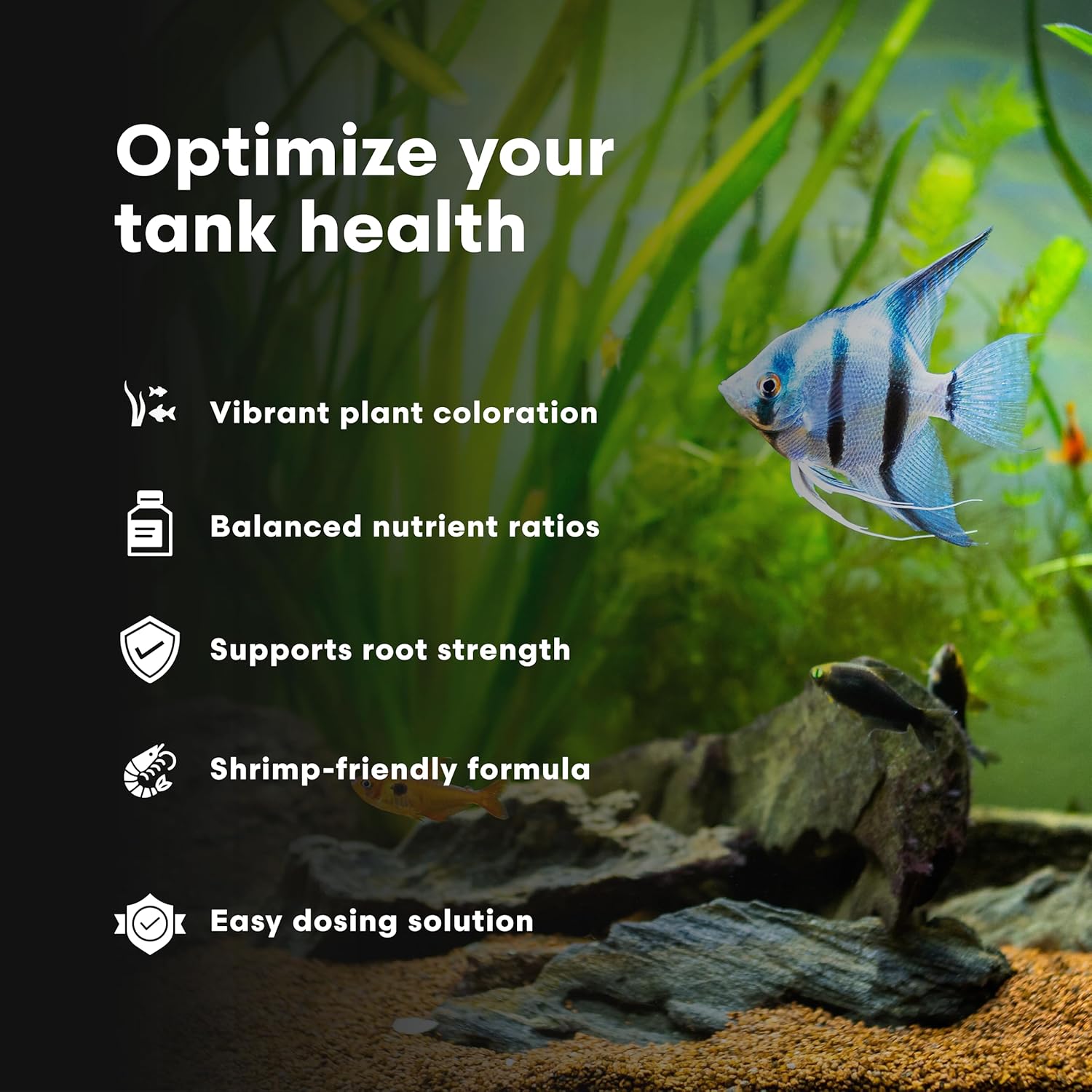 Brightwell Aquatics Shrimp FlorinMulti – Complete Plant Nutrient Supplement for Shrimp & Freshwater Aquariums – Supports Growth, Color & Health – Copper-Free, 125 ml