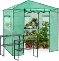 EAGLE PEAK 7x7 Pop up Greenhouse Portable Walk-in Outdoor Gardening Green House with 2 Foldable Shelves, Roll-up Zipper Entry Door and 3 Mesh Windows, PE Cover, Green/Clear