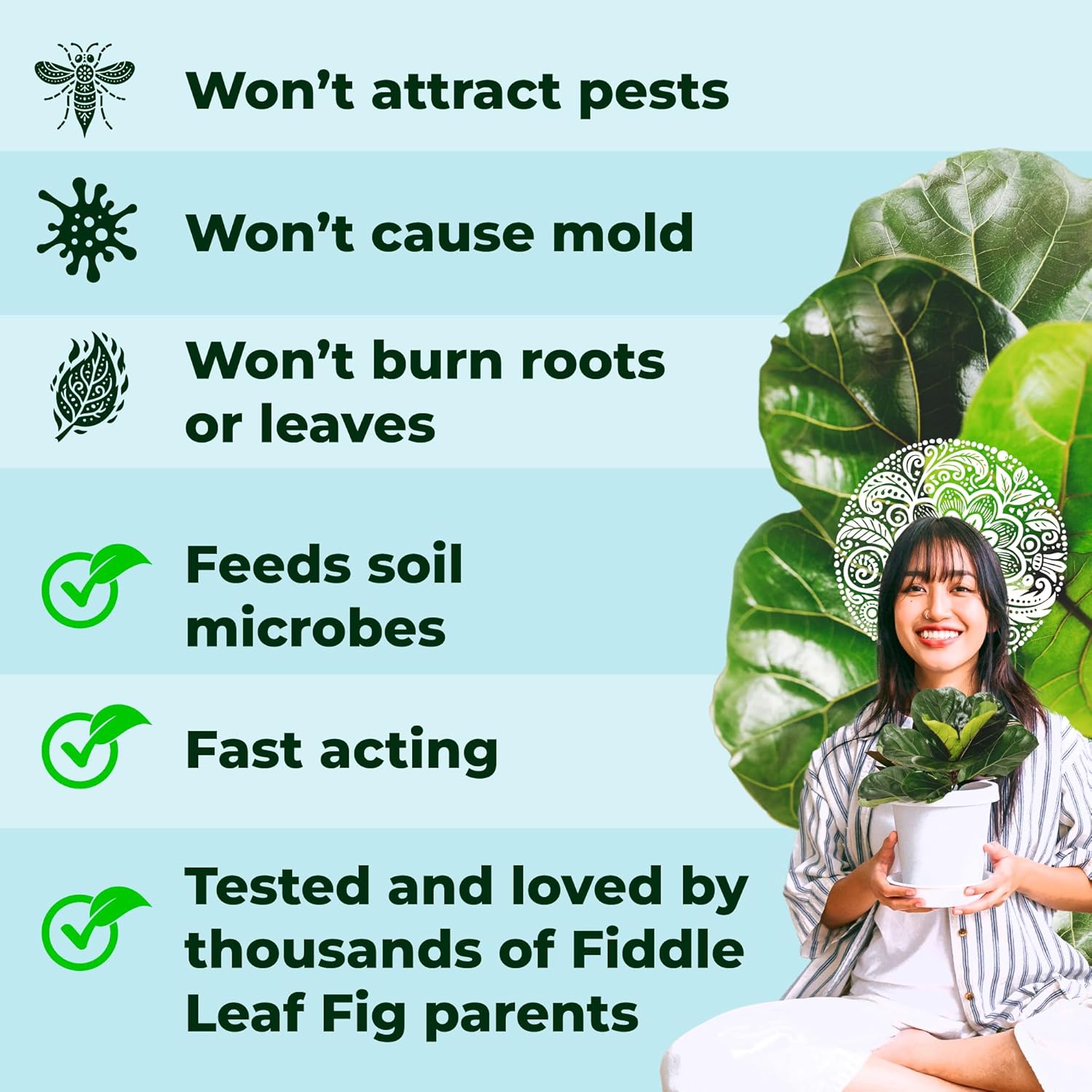 Fiddle Leaf Fig Plant Food - Fiddle Leaf Treats | Urea-Free Fertilizer | Fast Acting for Bigger Leaves and Stress Tolerance, 4X More Concentrated Than Liquid Plant Food | for All Ficus Plants